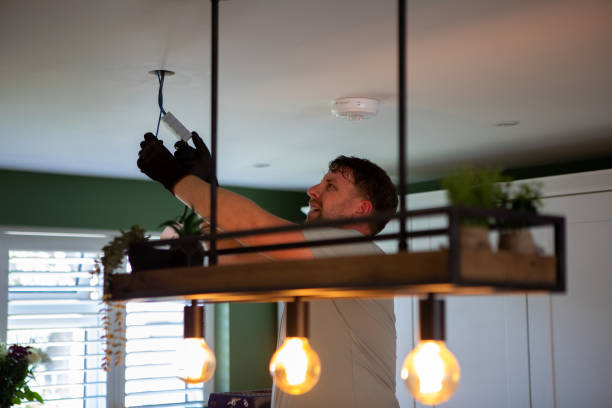 Best Electrical System Inspection  in Wimauma, FL