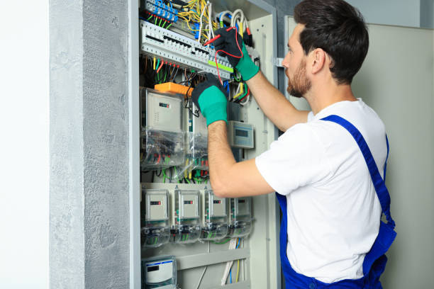 Best Electric Panel Repair  in Wimauma, FL